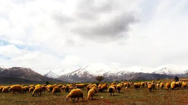 Kahramanmaraş'a yılın ilk karı yağdı