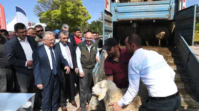 Kayseri'de hayvancılık yapanların su faturasının yarısını belediye ödüyor