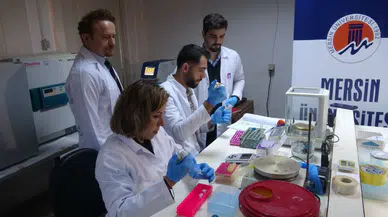 Kene hastalığına yönelik spesifik gen araştırması