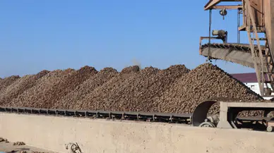 Malatya Şeker Fabrikası’nda bu yıl hedef 65 bin ton şeker üretimi