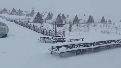 Mart Ayında Lapa Lapa Kar Yağdı