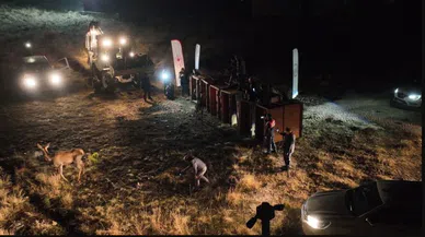Salda Gölü çevresine 6 kızıl geyik daha bırakıldı