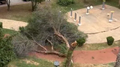 Kuvvetli rüzgar ağaçları söktü, çatıları uçurdu