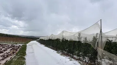 Erdemli'de dolu yağışı etkili oldu