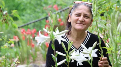 Tokat’tan getirdi, Kozan yaylalarında üretime başladı