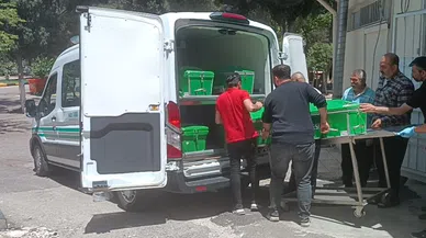 Para istediği dayısını olumsuz yanıt alınca öldürdü
