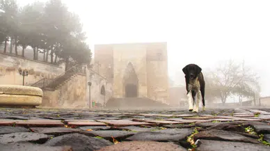 Afşin'de Ashab-ı Kehf yoğun sis içinde kaldı