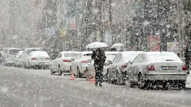 Bitlis'te 21 Kasım Salı okullar tatil mi? Hangi ilçelerde okullar tatil