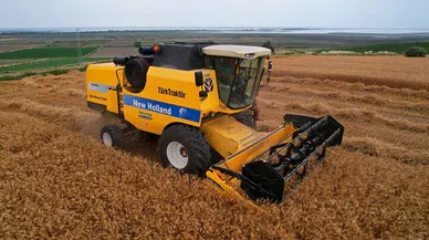 Adana’da buğday hasadı başladı, verim yüzleri güldürdü