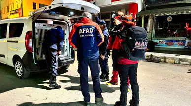 Kaybolan engelli genç için arama çalışmaları başlatıldı