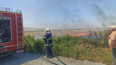 Anız yangını şehitliğe sıçramadan söndürüldü