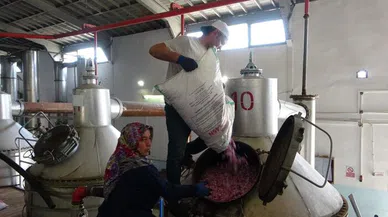 4 tondan sadece 1 litre çıkıyor, litresi 400 bin TL'yi buluyor