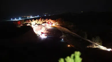 Adana’da anız yangını ormana sıçradı, yangın kontrol altına alındı
