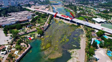 Seyhan Nehri'ni kaplayan yosunlar insan boyunu geçti, kötü koku kenti kapladı