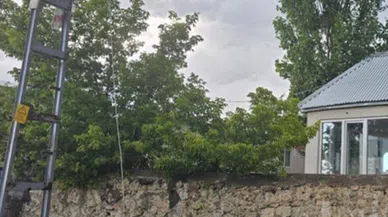 Kars’ta elektrik akımına kapılan 2 büyükbaş hayvan telef oldu