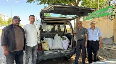 Kilis 'de Fıstık hırsızları kıskıvrak yakalandı