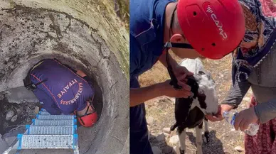 Kuyuya düşen keçinin imdadına itfaiye yetişti