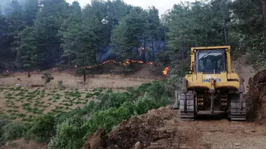 Fırnız’daki orman yangını kontrol altına alındı