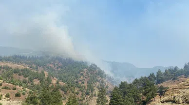 Yenidemir’deki yangın kontrol altına alındı