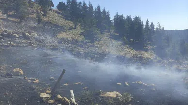 Kahramanmaraş’ta orman yangınları