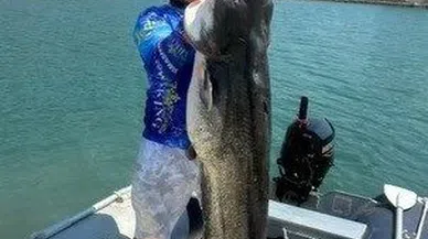 Oltayla 45 kiloluk yayın balığı yakaladı