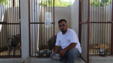 Balçıkta ölümü bekleyen köpeğe hayat kurtaran müdahale