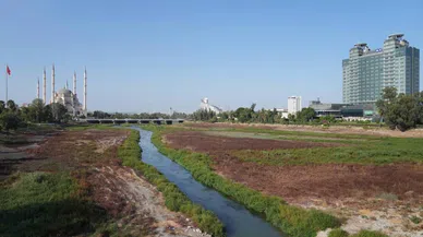 Hızlı tren köprüsü inşaatı nedeniyle DSİ, Seyhan Nehri yatağına su veremiyor