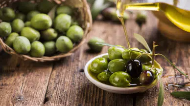 Sofralık zeytin ihracatı rekora koşuyor