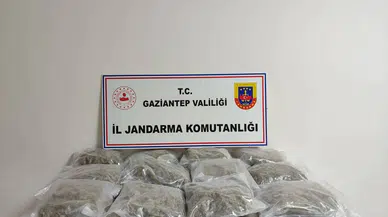 32 kilogram skunk ele geçirildi