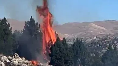 Kahramanmaraş'ta orman yangını söndürüldü