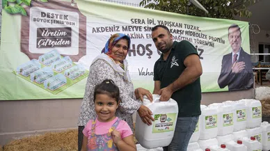 Üreticilere 'Akdeniz meyve sineği' ile mücadele desteği