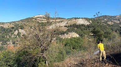 Osmaniye'de 2 noktada çıkan orman yangını söndürüldü