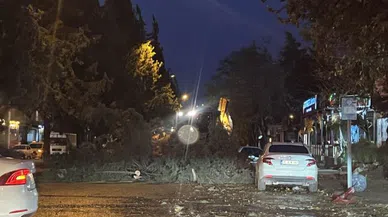 Kahramanmaraş’ta Şiddetli Rüzgarda Ağaçlar ve Direkler Devrildi