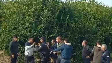 Üretici, Narenciyeyi 2 Tüccara Birden Satınca Ortalık Karıştı