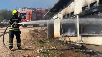 Tavuk Çiftliğinde Yangın 33 Bin Civciv Telef Oldu