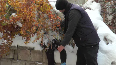 Ceset Sandılar, Çiçeklik Çıktı