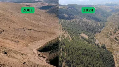 Kahramanmaraş Ağaçlandırılıyor: 2 Milyondan Fazla Fidan Toprakla Buluştu