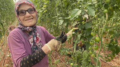 Azmiyle hayran bırakan yaşlı kadının ayakta durma mücadelesi