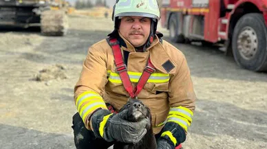 17 Metre Derinliğindeki Kuyuya Düşen Köpeği İtfaiye Kurtardı