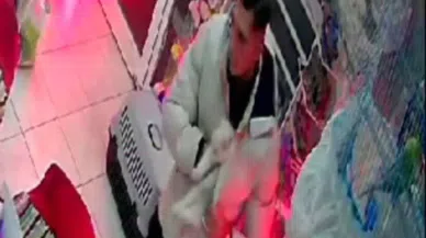 Şaşırtan Hırsızlık: Cins Kediyi Montunun İçine Gizleyip Çaldı
