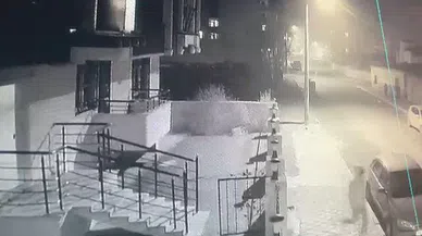 Çaldığı Ayakkabı İle Arkadaşlarına Hava Attı