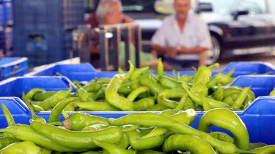 2024’te Üretilen Sebze Miktarı Yüzde 20 Düştü