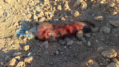 Toprağa gömülü ceset bulundu