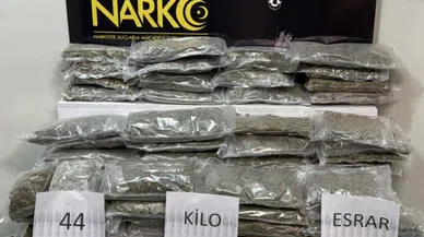 Sakatat parçalarının arasına zulalanmış 44 kilo esrar ele geçirildi