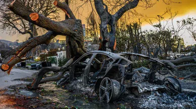 ABD’nin California eyaletindeki orman yangınlarında ölü sayısı 16’ya yükseldi