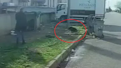 Başıboş köpeğin saldırısına uğradı: O kaçtı, köpek kovaladı