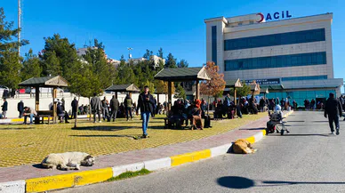 Köpek saldırısına uğrayan çocuk kafasından yaralandı