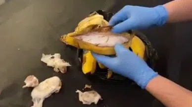 Akıllara durgunluk veren yöntem