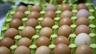 Aralık’ta En Çok Yumurta Pahalandı