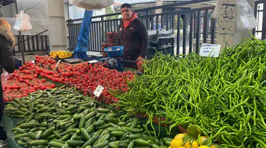 Sebzede artan üretici fiyatları çiftçiye kazandırdı